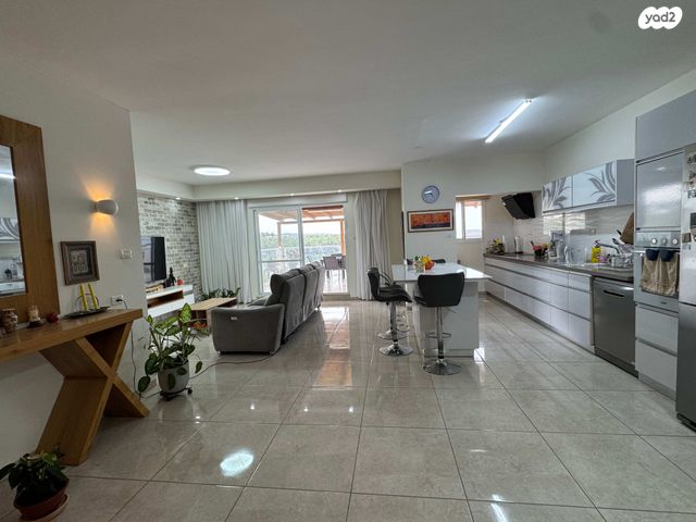 גג/ פנטהאוז, דוד בן גוריון, הראשונים, שלומי