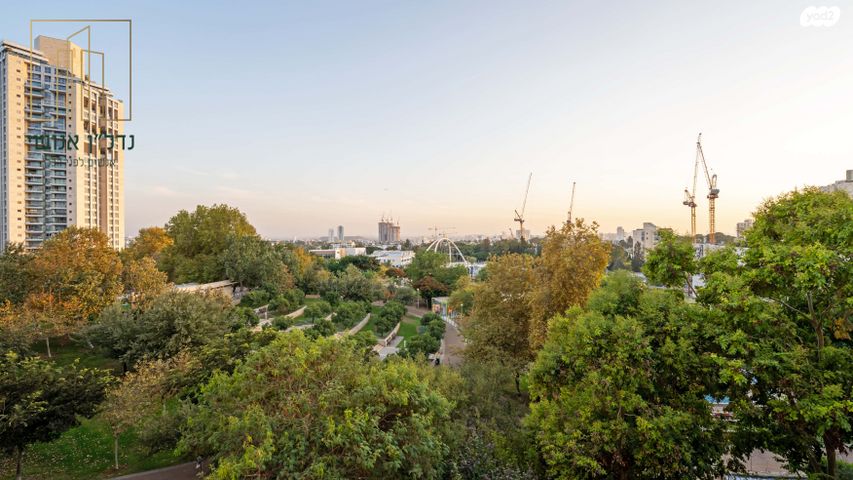 שמעון בן צבי 