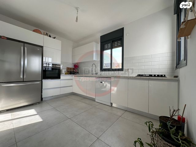 הרב דב הכהן קוק 