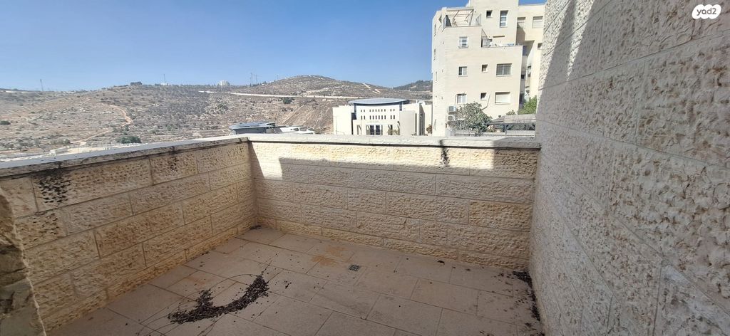 גג/ פנטהאוז, הרב אריה בינה, חומת שמואל, הר חומה, ירושלים