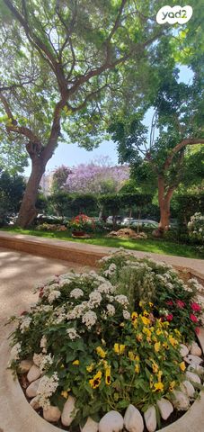 דירה, ברזיל, רמת אביב, תל אביב יפו