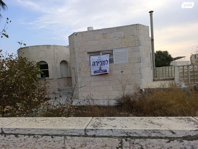 הרצי"ה קוק 65