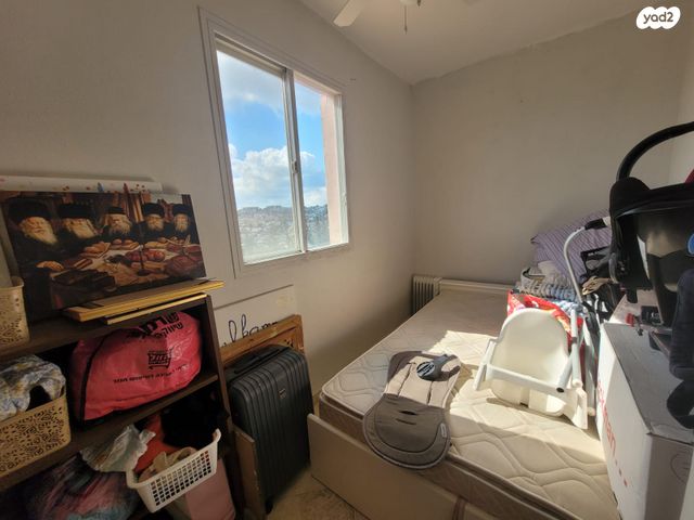 דירה, אשכולות, כרמיאל