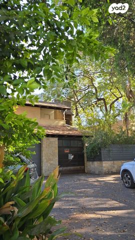 אחים ליטוינסקי 