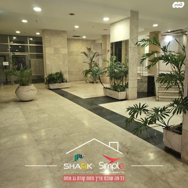 ארזי הלבנון 22