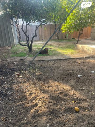 שדרות שלמה המלך 38