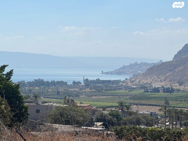 מגרשים, מגדל