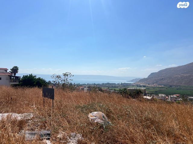 מגרשים, מגדל