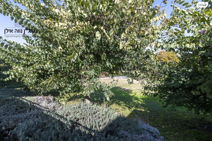 דו משפחתי, האבוקדו, נווה אילן - אזרחי, יבנה