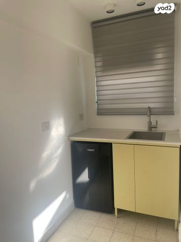 גג/ פנטהאוז, ראש פינה, נווה שאנן, תל אביב יפו