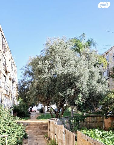 דירה, רמב"ם, מרכז העיר, חדרה