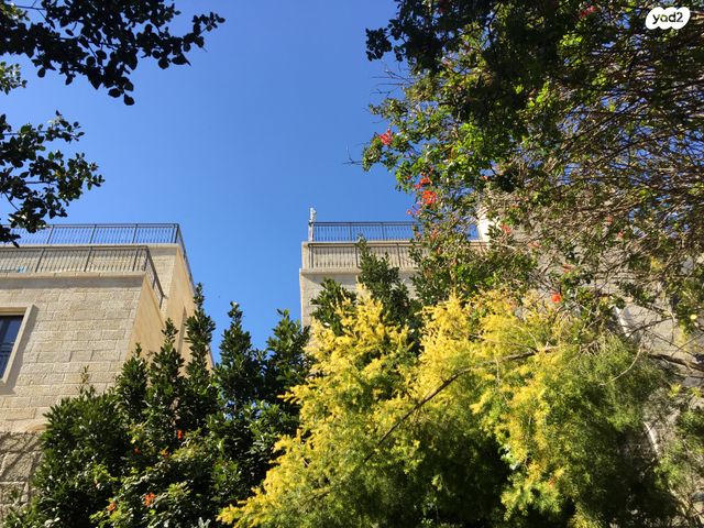 דירת גן, ישמח מלך, ממילא, ירושלים