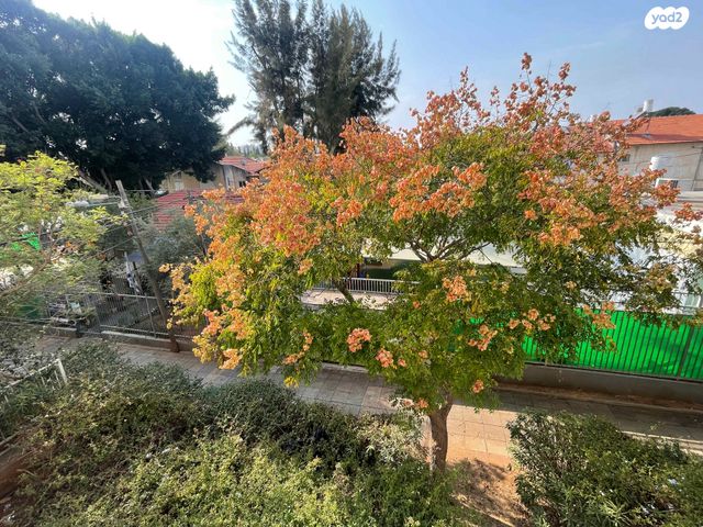 דירה, כיסופים, כפר סבא