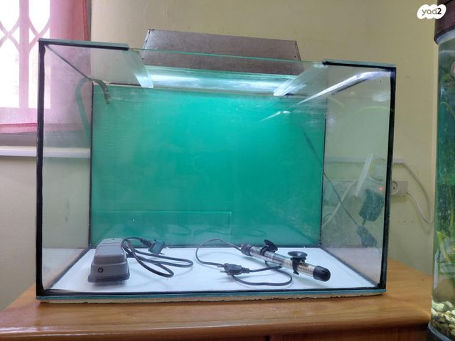 תמונת מודעה - חיות מחמד