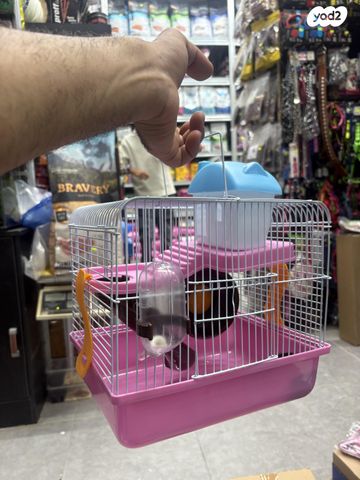 תמונת מודעה - חיות מחמד