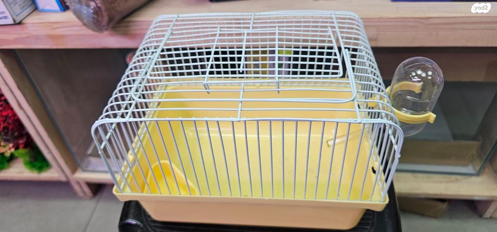 תמונת מודעה - חיות מחמד