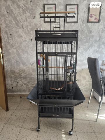 תמונת מודעה - חיות מחמד