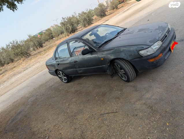 טויוטה קורולה