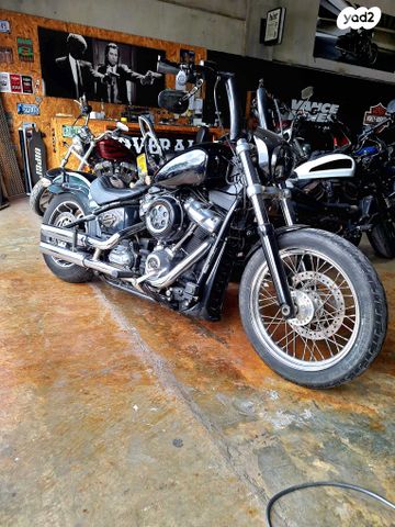 הרלי דיווידסון סופטייל סטנדרט