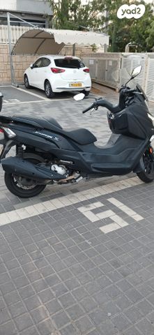 סאן יאנג ג'וי-מקס Z-300