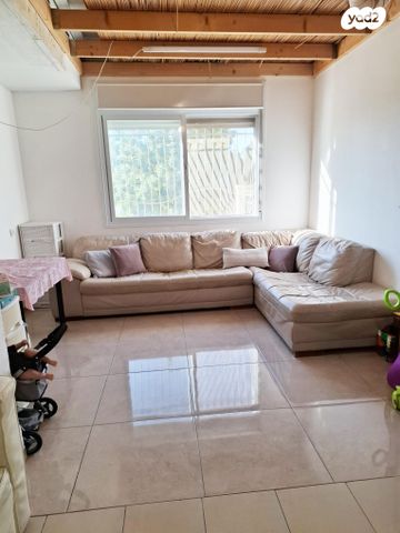 קדושת לוי 15