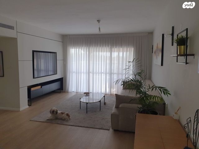 אליהו מירון 1