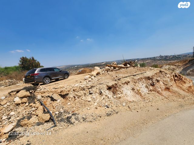 מגרשים, עין גדי 1, אלקנה