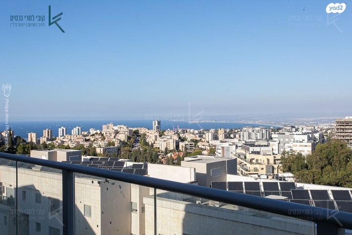 חביבה רייק 42