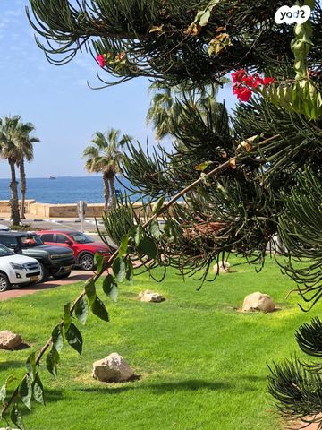 בית פרטי/ קוטג', החבצלת 4, מרכז העיר, עכו