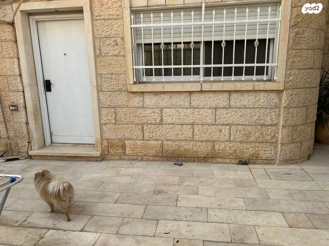 פרי מגדים 26