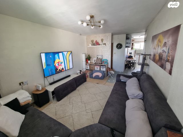 אליאשווילי 2