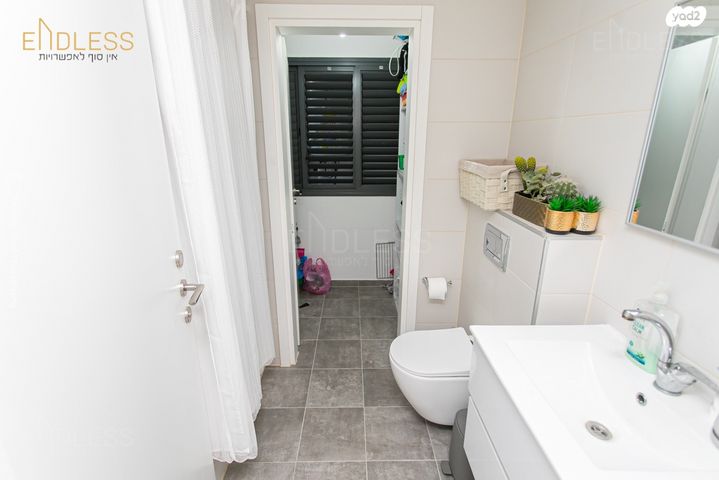 דירה, דולפין, גלי כרמל, טירת כרמל