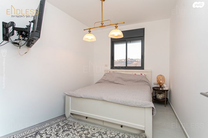 דירה, דולפין, גלי כרמל, טירת כרמל