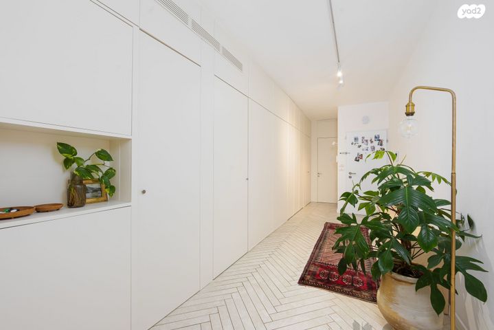 נווה דוד רמז