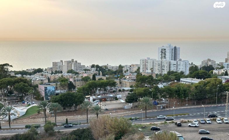 דירה, שונית, רמת חביב / רמת הנשיא, חיפה