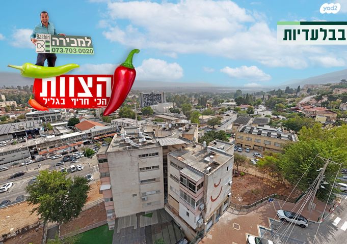 דירה, הרצל, קרית שמונה