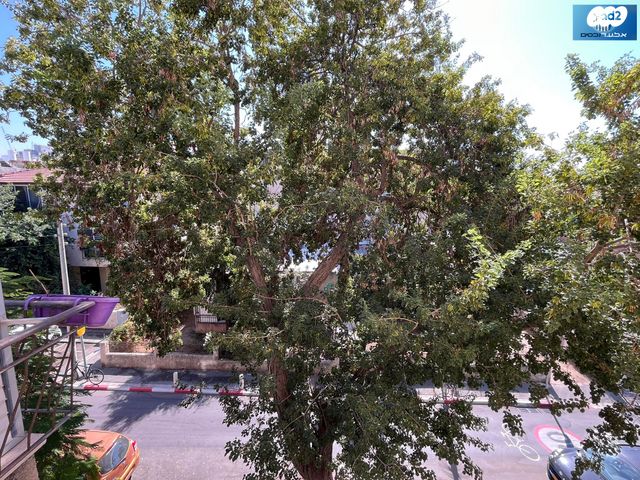 דירה, חביבה רייק, גבעת הרמבם, גבעתיים