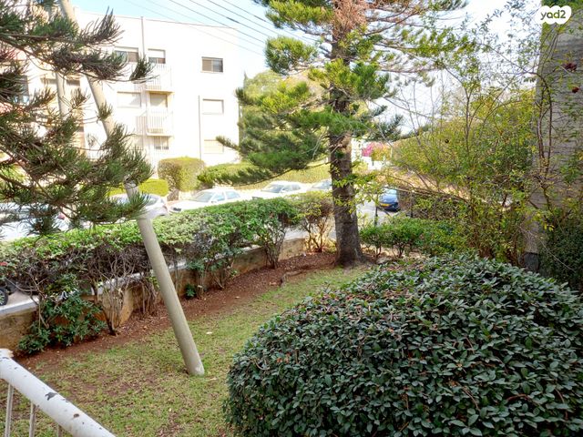 דירה, פינסקר, זיו, חיפה