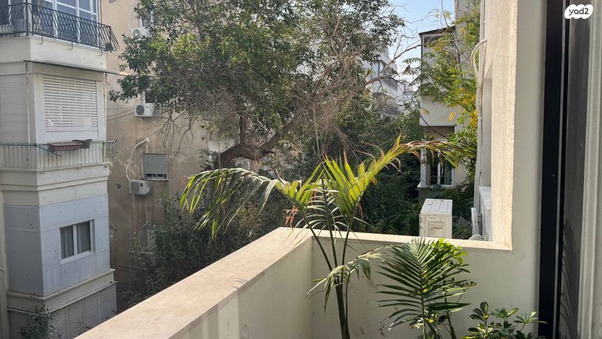 דירה, ויזל, הצפון הישן - צפון, תל אביב יפו