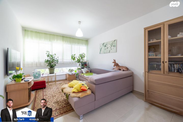 דוד צבי פנקס 