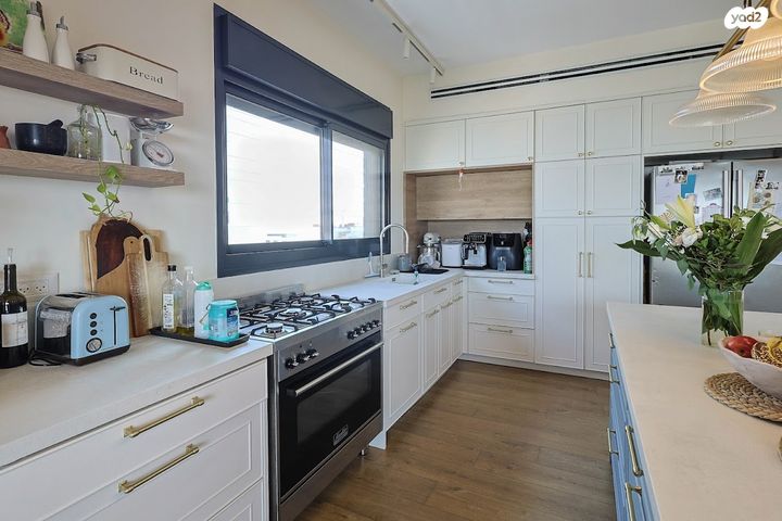 גג/ פנטהאוז, דרך שיבא, רמת אפעל, רמת גן