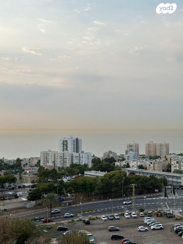 דירה, שונית, רמת חביב / רמת הנשיא, חיפה