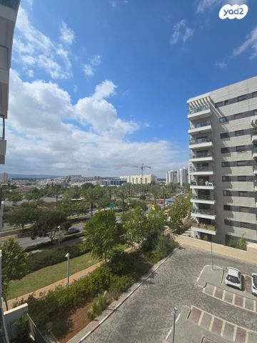 אלישע הנביא 