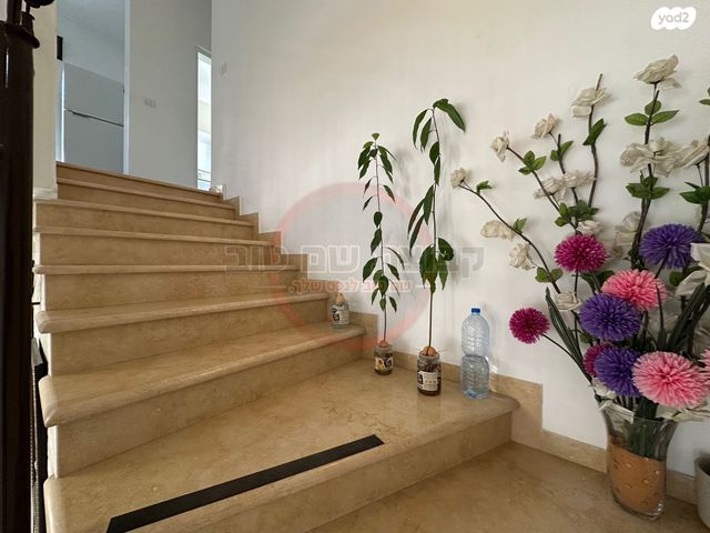 דו משפחתי, סמטת הגומא, שאר העיר, רמת ישי