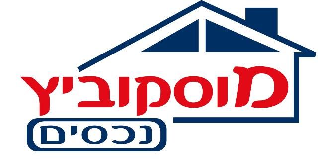 המלך דוד 