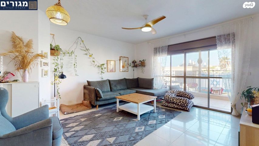 שושנת הכרמל 