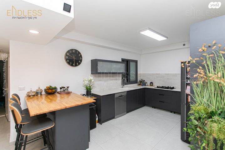 דירה, דולפין, גלי כרמל, טירת כרמל