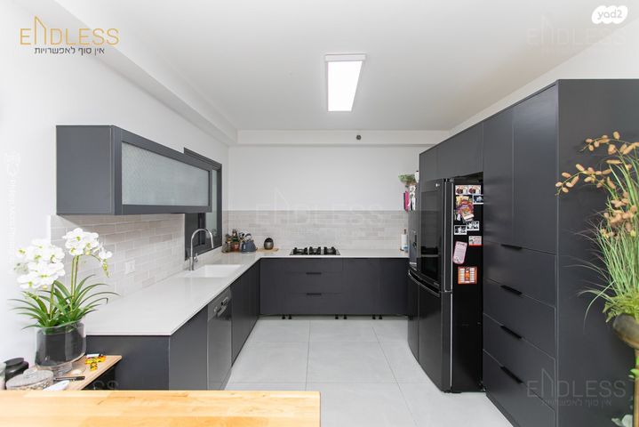 דירה, דולפין, גלי כרמל, טירת כרמל