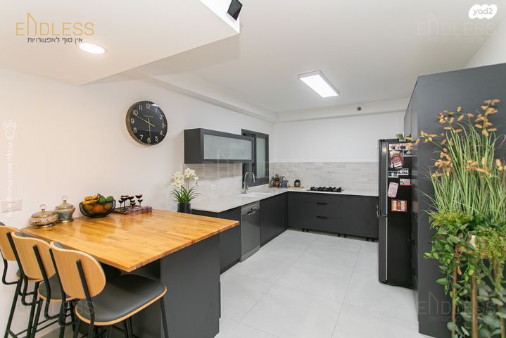 דירה, דולפין, גלי כרמל, טירת כרמל