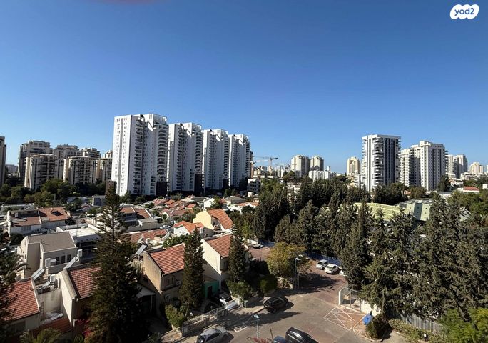 שלמה רבאון 8